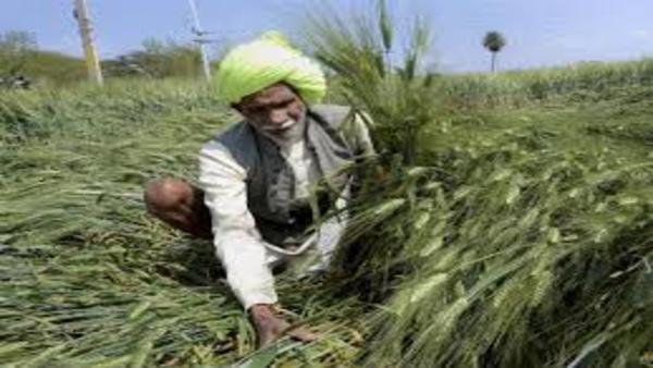 अन्नदाता किसान