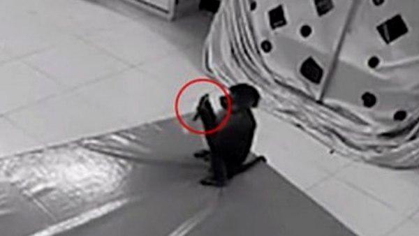 जू-कीपर लड़की का फोन लगा था बंदर के हाथ