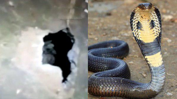 बताने के बावजूद क्लास में मौजूद टीचर ने नहीं दिया ध्यान