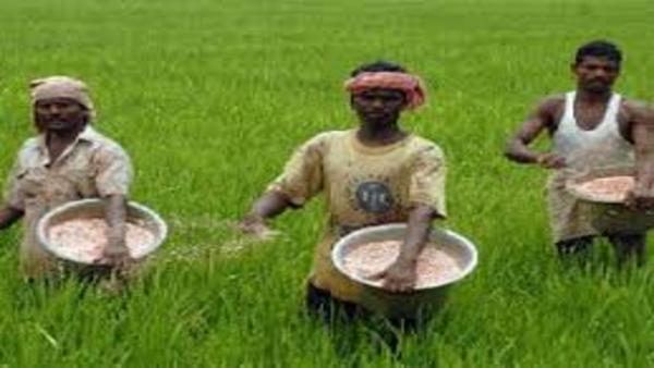 अन्नदाता किसान