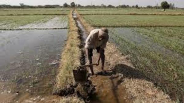 अन्नदाता किसान