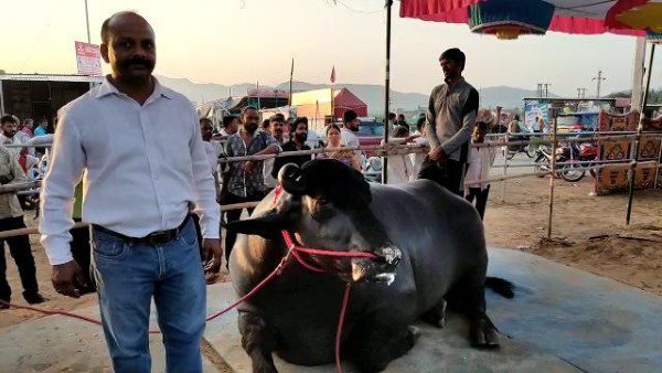 4 लोग करते हैं देखभाल