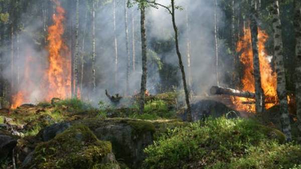 मदद करने के लिए पूरी तरह तैयार मदद करने के लिए पूरी तरह तैयार