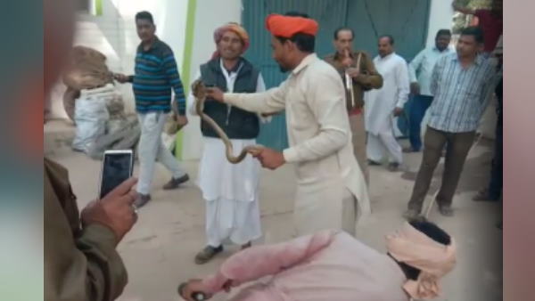 पुलिसकर्मी ने बजाई बीन