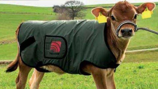 एक कोट की कीमत होगी 250 से 300 रुपये