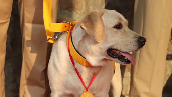 सीआईएसएफ K9 टीम के जांबाज कुत्ते