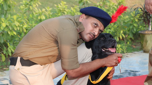 13 से 15 साल होती है उम्र