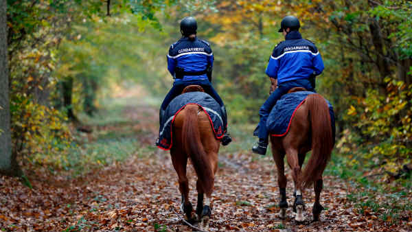  पार्टनर को फोन करके दी जानकारी 
