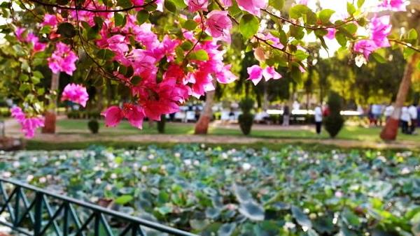 केवड़िया पहुंचने पर प्रतिमा तक ऐसे जाएं