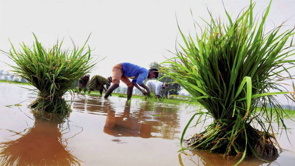 कांग्रेस की प्रतिक्रिया- किसानों का मजाक उड़ा रहे हैं