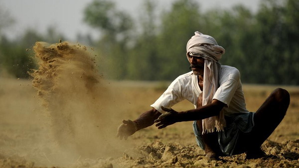 अक्टूबर-नवम्बर की बारिश में ज्यादा फसलें खराब हुईं
