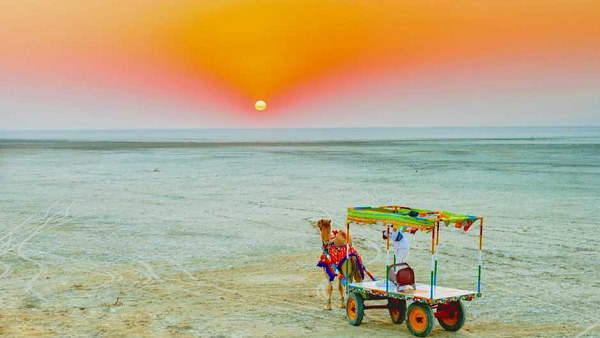 pirotan island gujarat