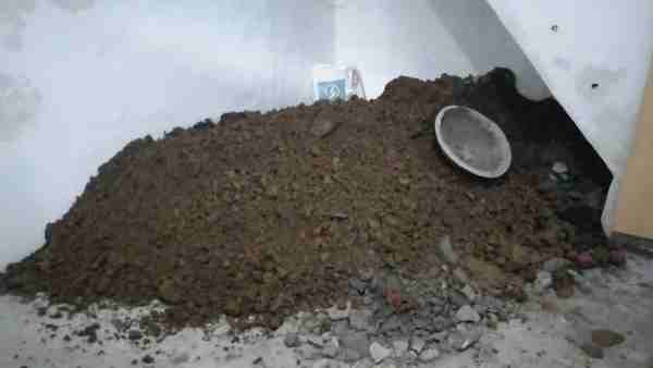 शव को गड्ढे में दबाकर ऊपर कर दिया था प्लास्टर