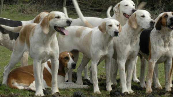 एसोसिएशन ने किया इनकार 