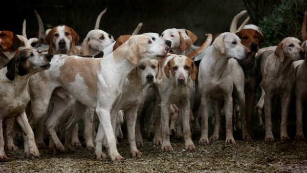 पेरिस से 90 किलोमीटर दूर हुई घटना 