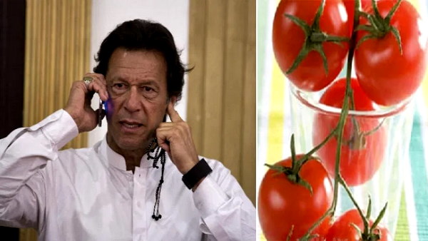 'पीओके हिंदुस्तान को वापस करे पाकिस्तान'