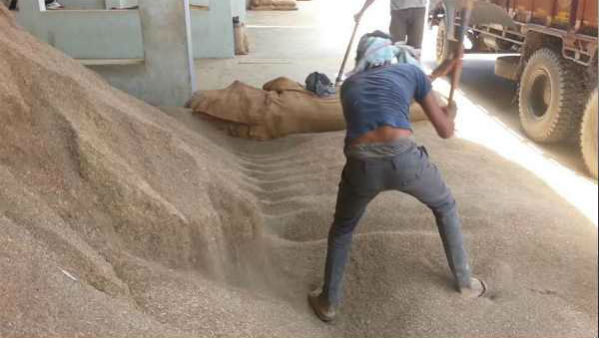 ऐसे करें पहचान