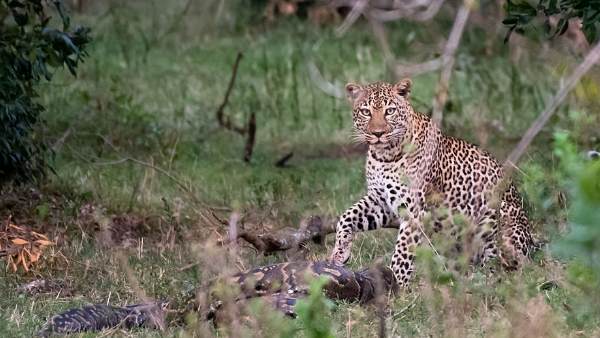 क्या बोला पर्यटक?