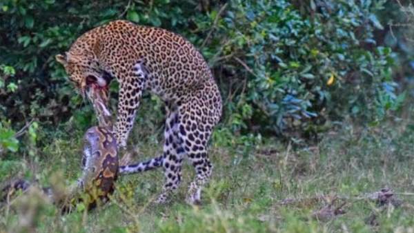 अलग-अलग प्रतिक्रिया दे रहे हैं लोग