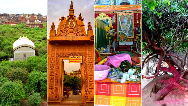 रात होने से पहले ही सब वन से चले जाते हैं