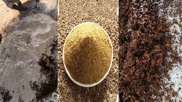 485 बोरी नकली जीरा बरामद