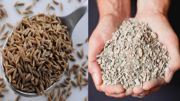 रंगे हाथों पकड़ा गया गिरोह