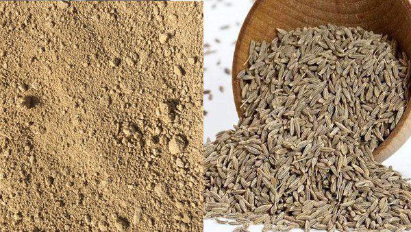 असली और नकली जीरे का अनुपात 80:20