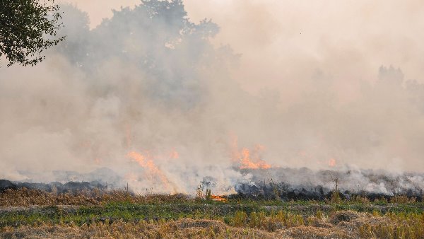 3 नवंबर से मिल सकती है राहत