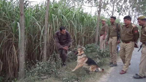 बेटे के ससुराल वालों पर हत्या का आरोप