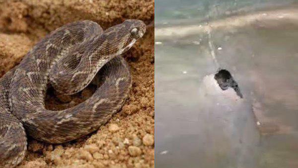 टीचर ने नहीं सुनी छात्रों की बात