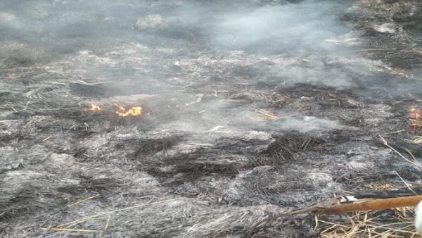 sonipat-man-body-burnt-in-parali-police-arrested-two-killers