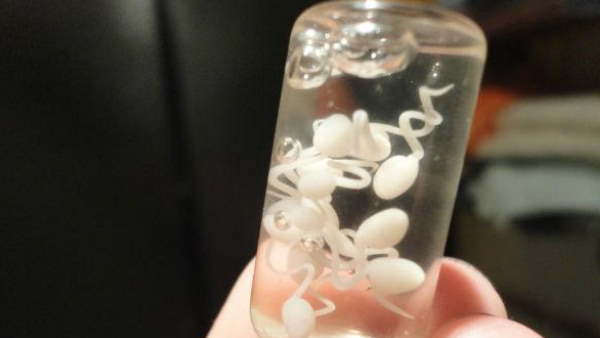 केस करने की बताई वजह केस करने की बताई वजह