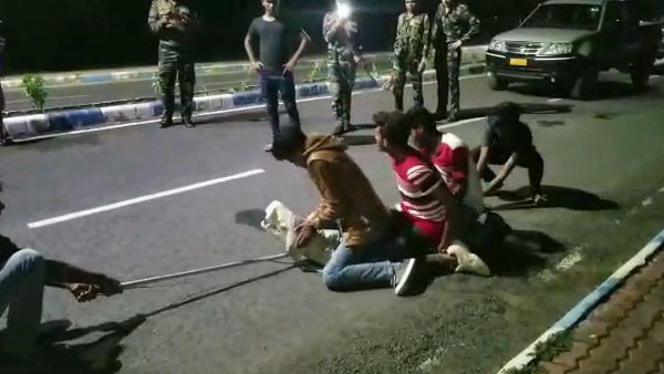 विश्वामित्री नदी में हैं 10 फीट तक लंबे मगरमच्छ