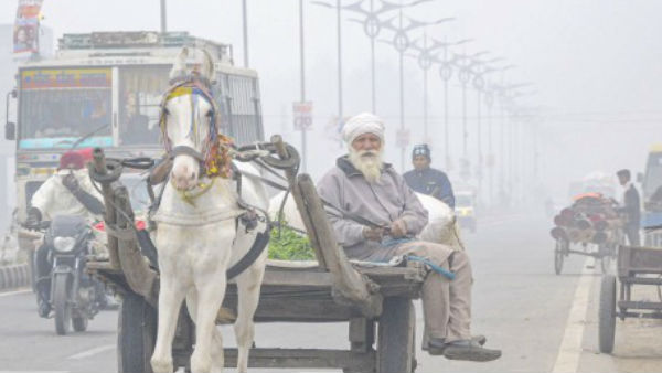  स्कूलों को बंद करने का आदेश 