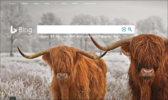 Bing सर्च इंजन गूगल के लिए Microsoft का जवाब है