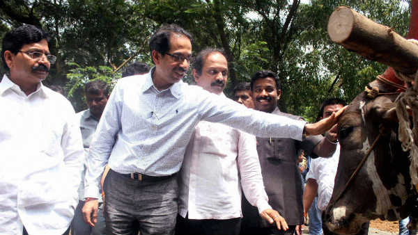 ठाकरे मेमोरियल के लिए पेड़ों की कटाई की तैयारी