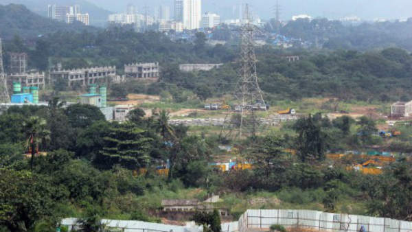 आरे कॉलोनी में पेड़ कटाई का हुआ था विरोधी