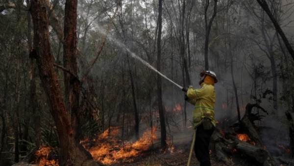 ऑस्ट्रेलिया के जंगलों में आग ऑस्ट्रेलिया के जंगलों में आग