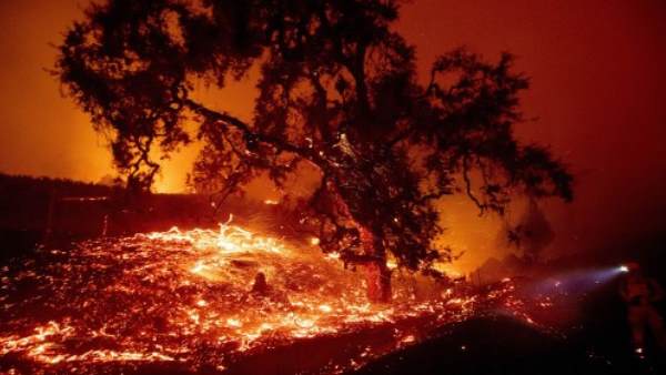 आग की अन्य घटनाएं आग की अन्य घटनाएं