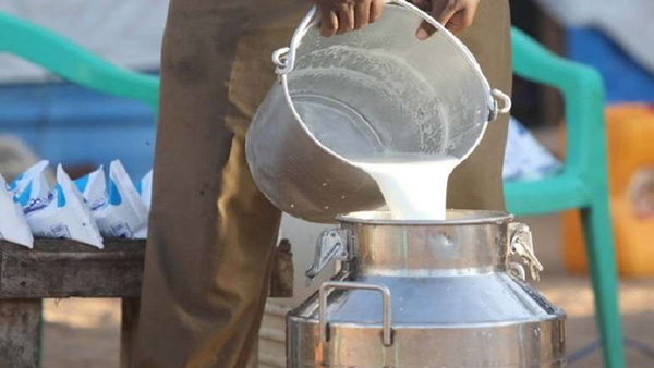15 दिसंबर से नए रेट पर मिलेगा दूध