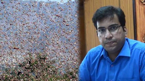 नियत्रंण पाने के लिए टीमें दवाओं का छिड़काव कर रहीं 