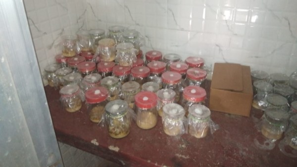 मोटाराम के कई नाम मशरूम मैन, मशरूम किंग और मशरूम सम्राट