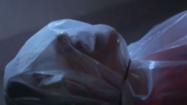 11 दिन सांप को रखा अलमारी में