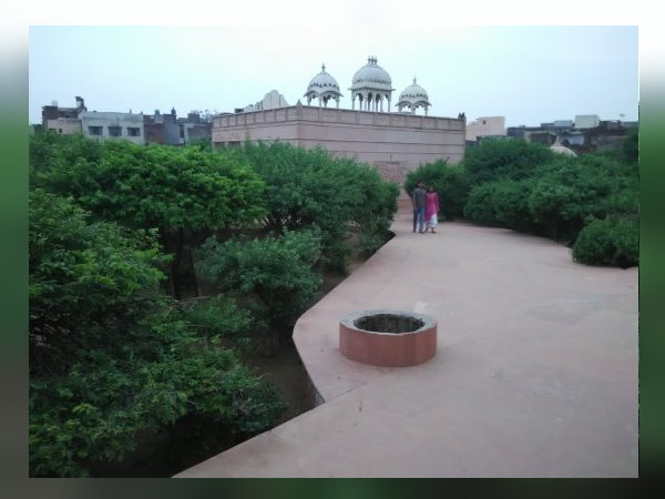 निधिवन में रात को क्यों लोग नहीं रुकते, क्या हैं इसकी मान्यताएं? निधिवन में रात को क्यों लोग नहीं रुकते, क्या हैं इसकी मान्यताएं?