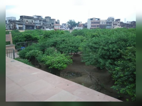 पुजारी ने देख लिया, लेकिन वह बाहर निकलने को तैयार नहीं हुई पुजारी ने देख लिया, लेकिन वह बाहर निकलने को तैयार नहीं हुई