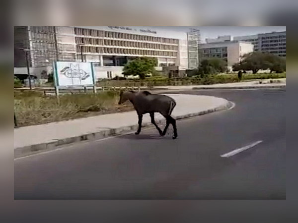 मुख्यमंत्री ने कहा- साबरमती नदी किनारे फेसिंग करें