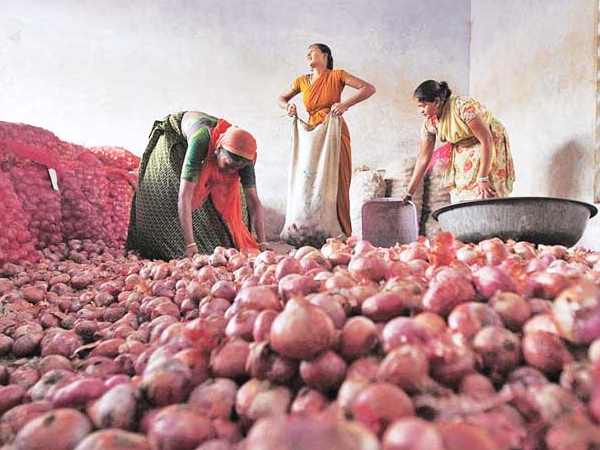 In Gujarat, onion price today beat Dollar & euro