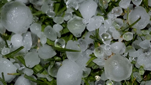 Rain, hailstorm, Rain in winter, gujarat, Rain Today in gujarat, Winter Latest Weather Update, Rain In gujarat, crops damaged due to hailstorm, hailstorm in gujarat, rajkot, IMD news, गुजरात, बारिश 