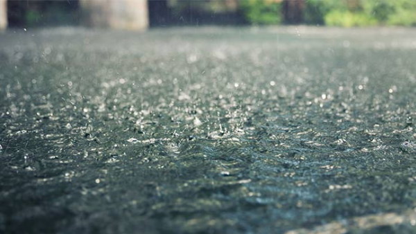 Rain, hailstorm, Rain in winter, gujarat, Rain Today in gujarat, Winter Latest Weather Update, Rain In gujarat, crops damaged due to hailstorm, hailstorm in gujarat, rajkot, IMD news, गुजरात, बारिश 
