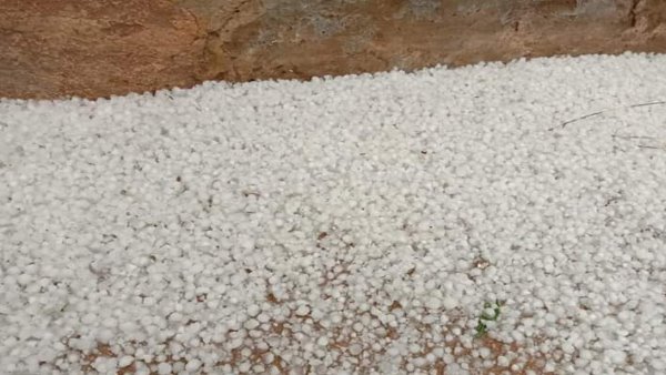 rajasthan weather update Rain and Hail in many districts